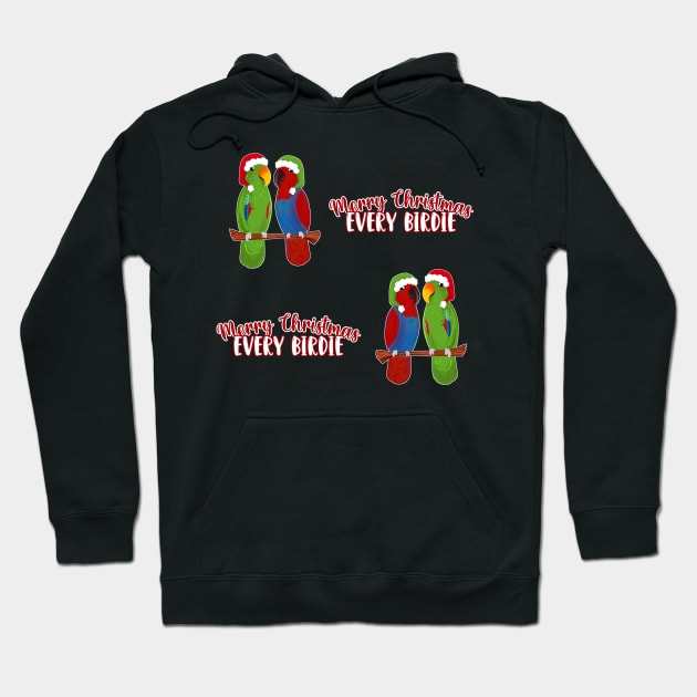 Funny Eclectus Merry Christmas Every birdie Hoodie by SusanaDesigns